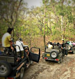 Corbett Group Tour, Corbett Tour Travel